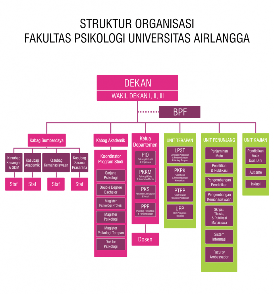 Struktur Organisasi Organization Structure Pendidikan Doktor Ilmu