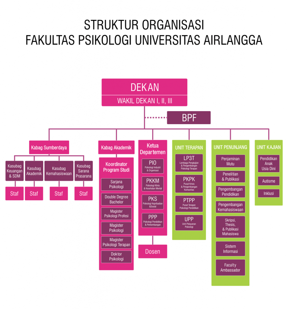 Organisational Structure – Program Doktor Psikologi Universitas Airlangga